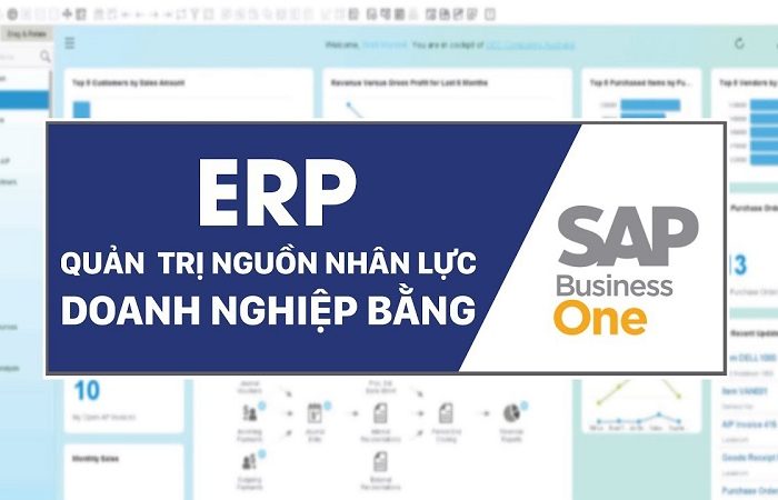 ERP Quản trị nguồn lực doanh nghiệp bằng SAP Business One