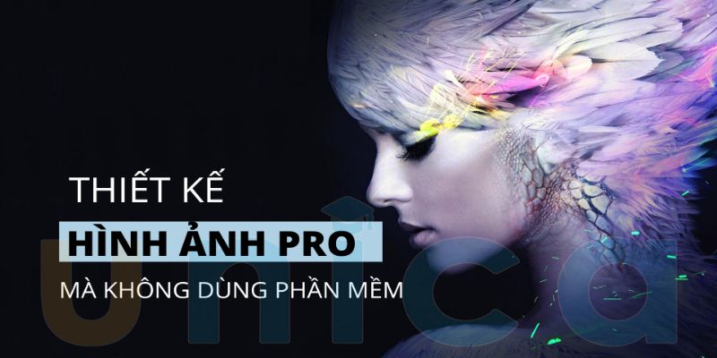 Khóa học thiết kế hình ảnh Pro mà không dùng phần mềm