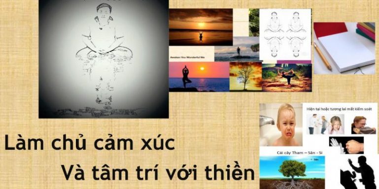 Khóa học Tham, Sân, Si và Thiền trong quản trị cảm xúc