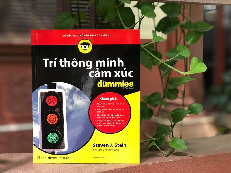 Review sách Trí Thông Minh Cảm Xúc For Dummies