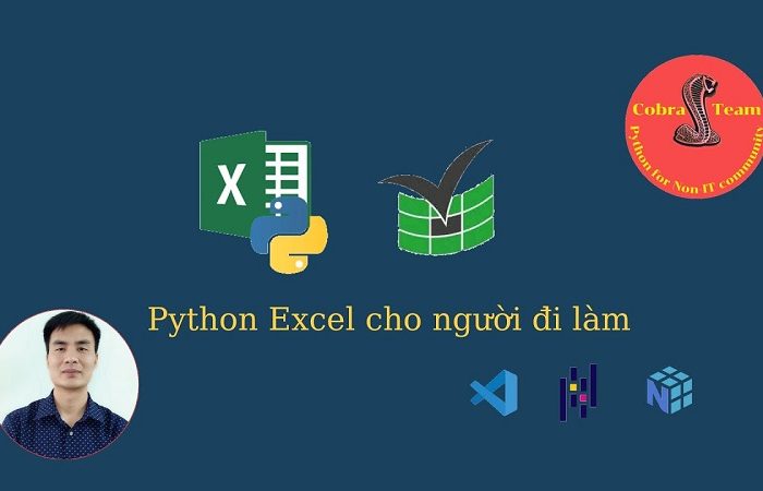 Khóa học Python Excel cho người đi làm